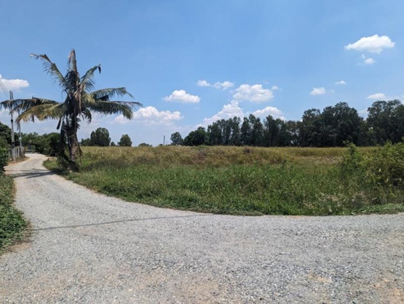 รูปที่4 ต้องการขายที่ดินเปล่า โคกเพลาะ พนัสนิคม ราคา 2,590,000 บาท