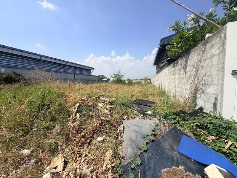 รูปที่8 ต้องการขายที่ดินเปล่า ลาดหลุมแก้ว ลาดหลุมแก้ว ราคา 2,610,000 บาท