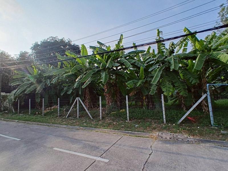 รูปที่3 ต้องการขายที่ดินเปล่า ท่าแร้ง เขตบางเขน ราคา 22,560,000 บาท