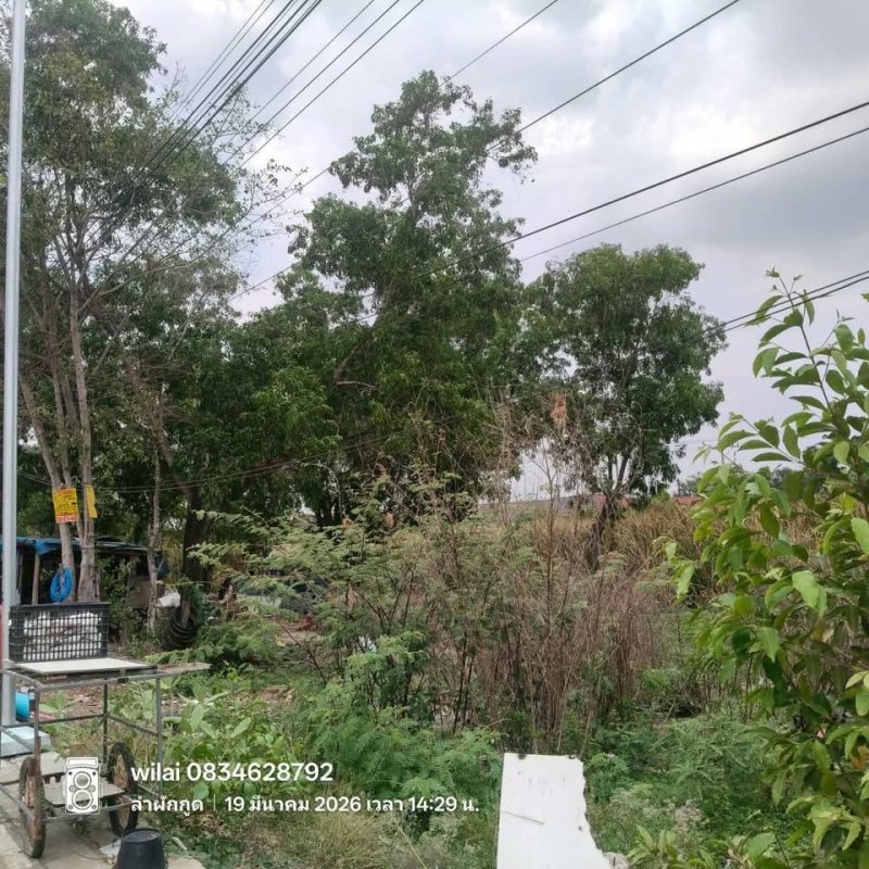 รูปที่2 ต้องการขายที่ดินเปล่า ลำผักกูด ธัญบุรี ราคา 600,000 บาท
