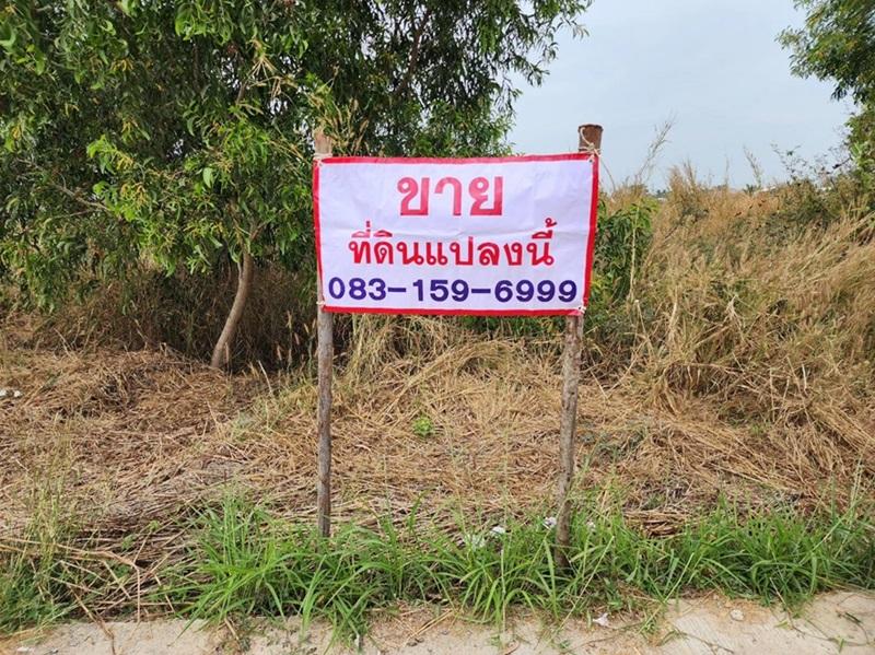 รูปที่8 ต้องการขายที่ดินเปล่า ราษฎร์นิยม ไทรน้อย ราคา 3,750,000 บาท