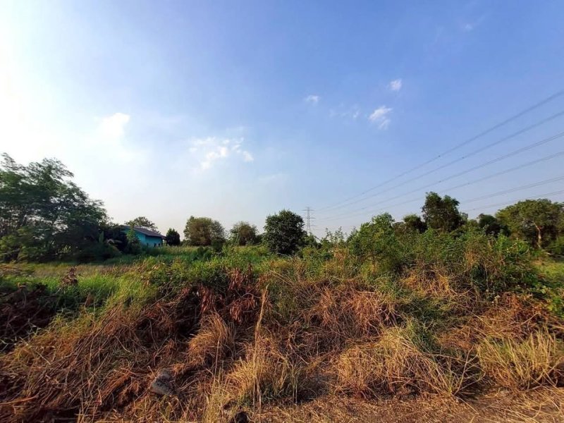 รูปที่3 ต้องการขายที่ดินเปล่า หนองสามวัง หนองเสือ ราคา 380,000 บาท