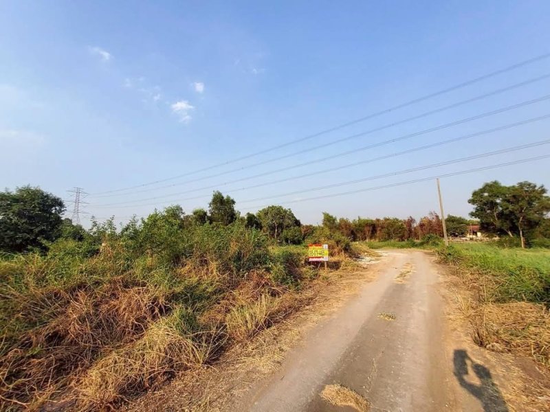 รูปที่5 ต้องการขายที่ดินเปล่า หนองสามวัง หนองเสือ ราคา 380,000 บาท