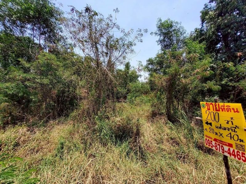 รูปที่2 ต้องการขายที่ดินเปล่า คลองสี่ คลองหลวง ราคา 1,400,000 บาท
