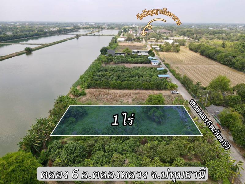 ที่สวย ทำเลดี ซอยตะวันตก 59 (วัดปัญญานันทาราม) คลอง 6 อ.คลองหลวง จ.ปทุมธานี #ที่ดินปทุมธานี #อำเภอคลองหลวง #ที่ดินทำบ้านสวน #โกดัง เนื้อที่ 1 ไร่ ขายเพียง 2,4500,000 บาท
