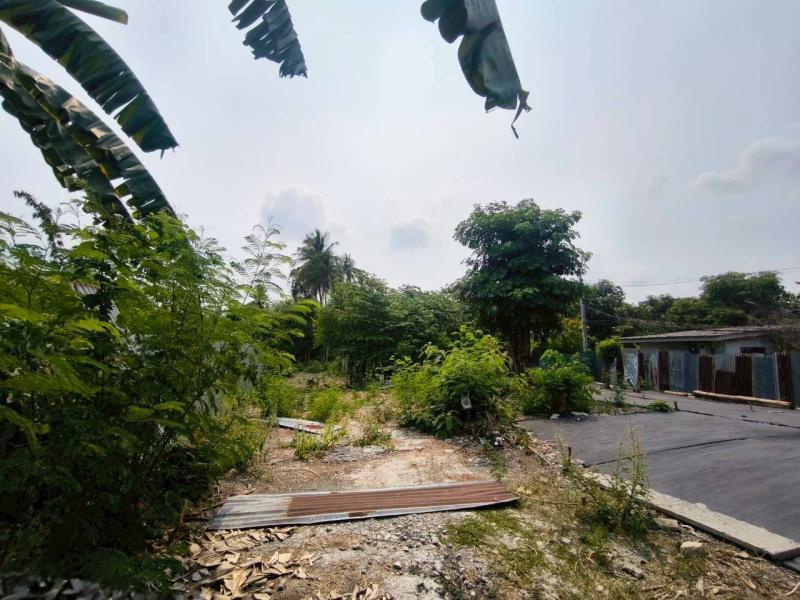 รูปที่2 ต้องการขายที่ดินเปล่า บางเขน เมืองนนทบุรี ราคา 19,575,000 บาท