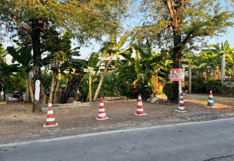 รูปที่3 ต้องการขายที่ดินเปล่า บางไผ่ เขตบางแค ราคา 6,300,000 บาท