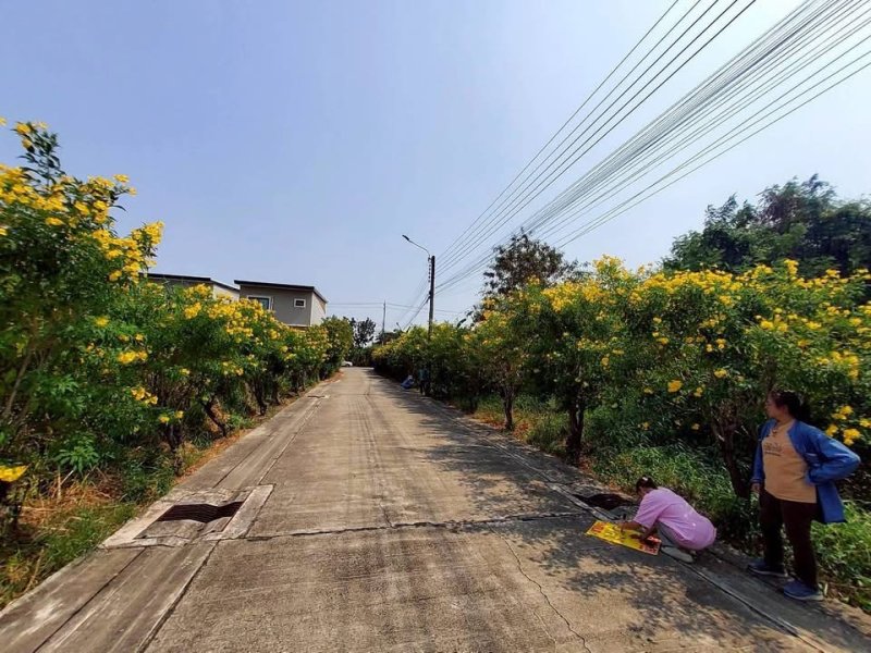 รูปที่4 ต้องการขายที่ดินเปล่า บางระมาด เขตตลิ่งชัน ราคา 3,900,000 บาท