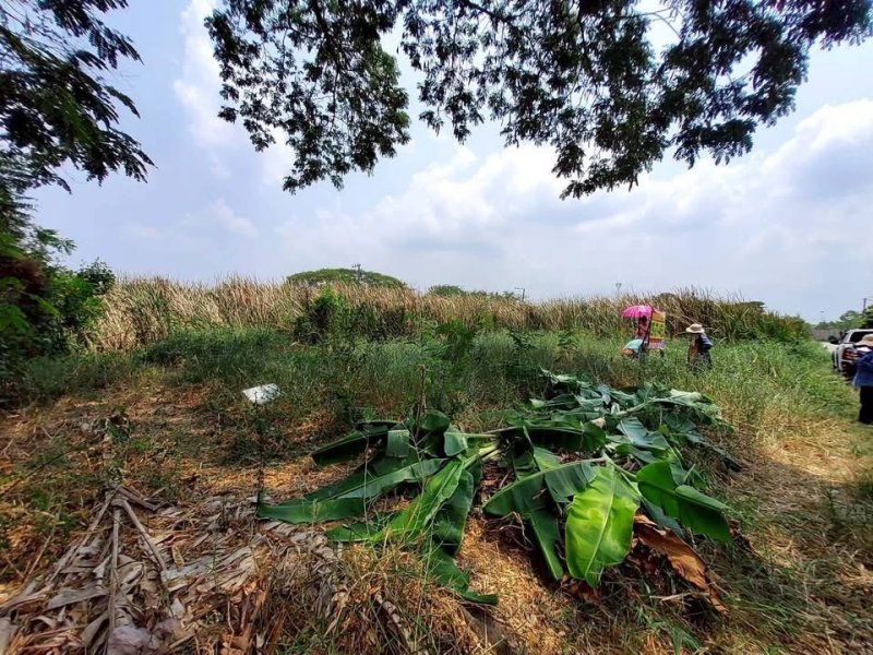 รูปที่7 ต้องการขายที่ดินเปล่า คลองสี่ คลองหลวง ราคา 800,000 บาท