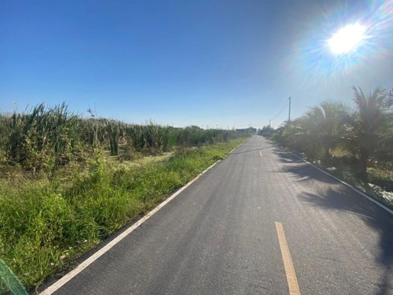 รูปที่3 ต้องการขายที่ดินเปล่า หนามแดง เมืองฉะเชิงเทรา ราคา 3,250 บาท