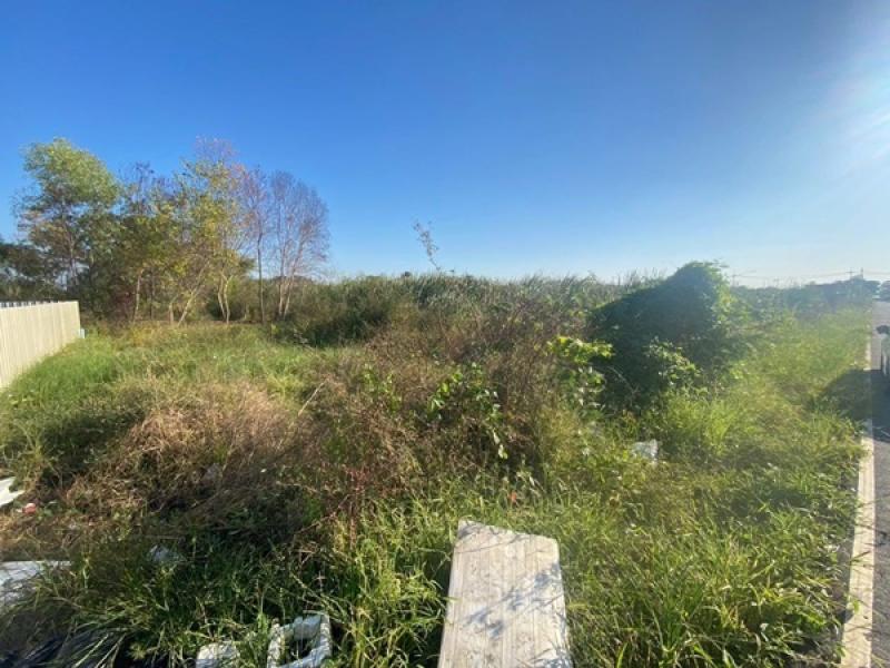 รูปที่4 ต้องการขายที่ดินเปล่า หนามแดง เมืองฉะเชิงเทรา ราคา 3,250 บาท