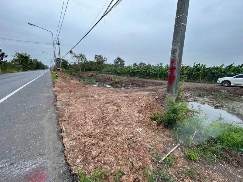 รูปที่3 ต้องการขายที่ดินเปล่า บึงชำอ้อ หนองเสือ ราคา 960,000 บาท