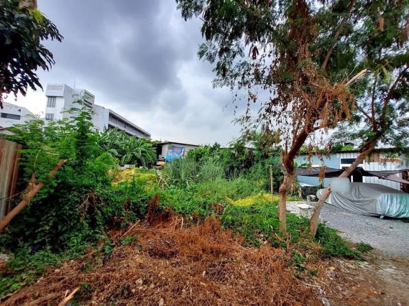 รูปที่4 ต้องการขายที่ดินเปล่า บางนา เขตบางนา ราคา 8,000,000 บาท