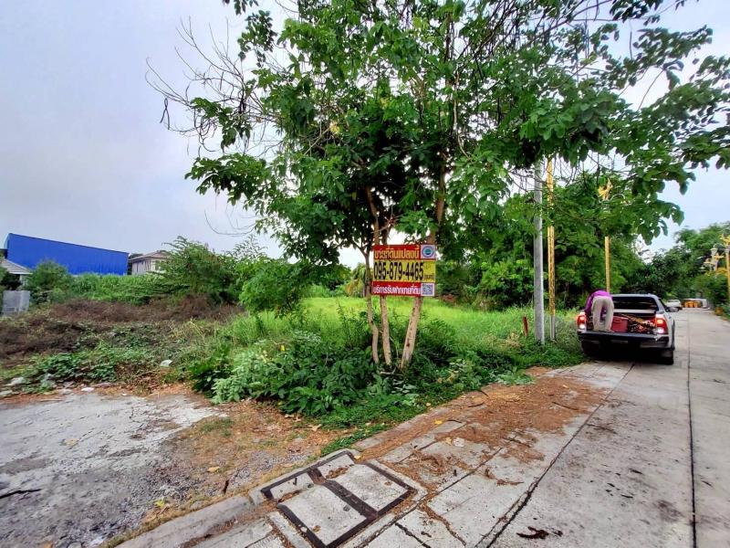 รูปภาพสินทรัพย์