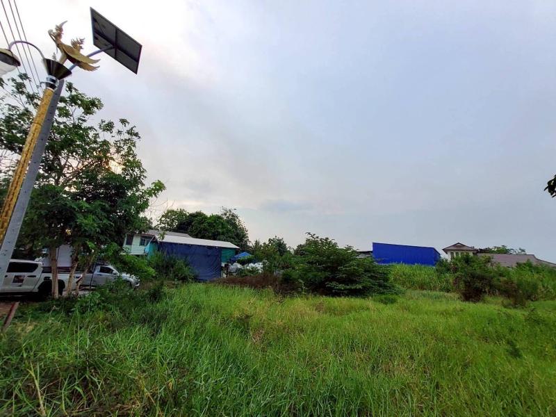 รูปที่7 ต้องการขายที่ดินเปล่า ราชาเทวะ บางพลี ราคา 4,532,000 บาท