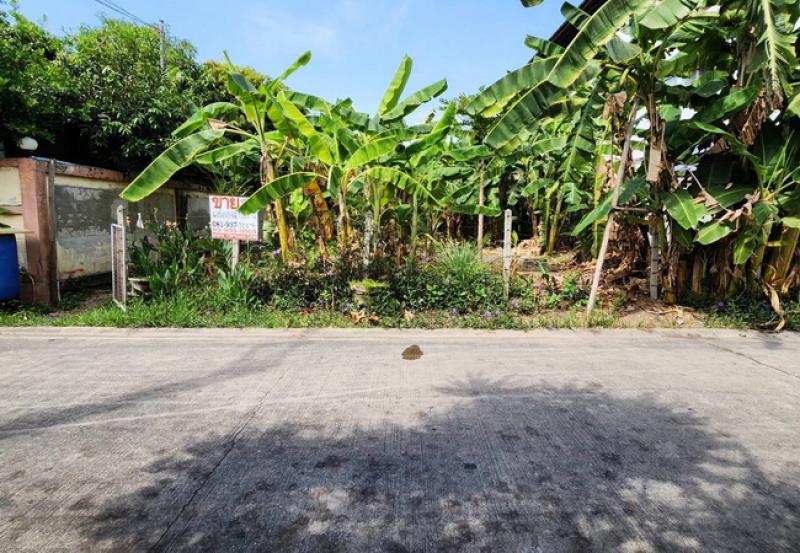 รูปที่4 ต้องการขายที่ดินเปล่า หลักหก เมืองปทุมธานี ราคา 3,920,000 บาท