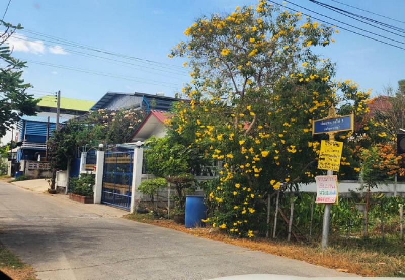 รูปที่8 ต้องการขายที่ดินเปล่า หลักหก เมืองปทุมธานี ราคา 3,920,000 บาท
