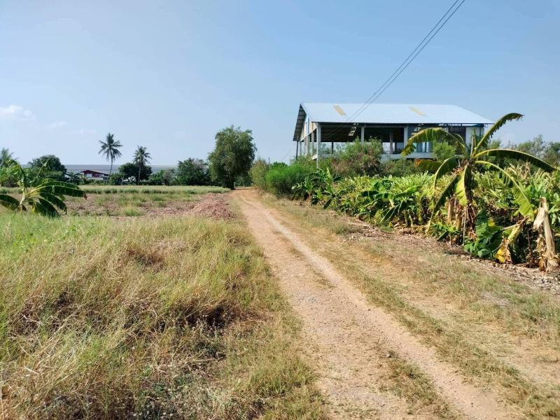 รูปที่2 ต้องการขายที่ดินเปล่า บางระกำ บางเลน ราคา 790,000 บาท