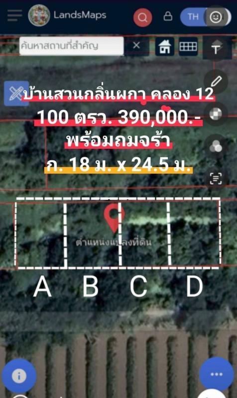 รูปที่2 ต้องการขายที่ดินเปล่า บึงชำอ้อ หนองเสือ ราคา 290,000 บาท