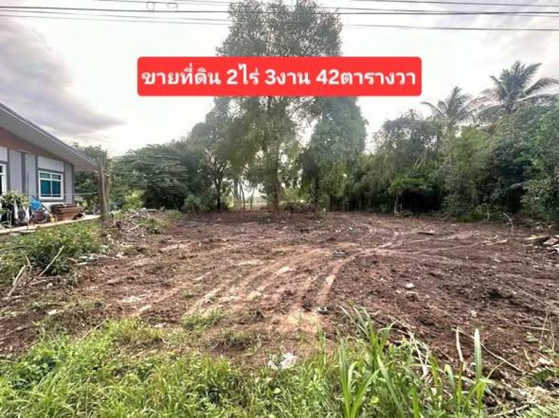 รูปภาพสินทรัพย์