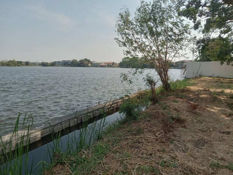 รูปที่4 ต้องการขายที่ดินเปล่า ท้ายเกาะ สามโคก ราคา 7,500,000 บาท