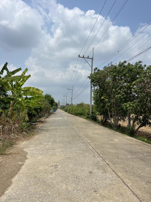 รูปที่3 ต้องการขายที่ดินเปล่า คลองหก คลองหลวง ราคา 2,450,000 บาท