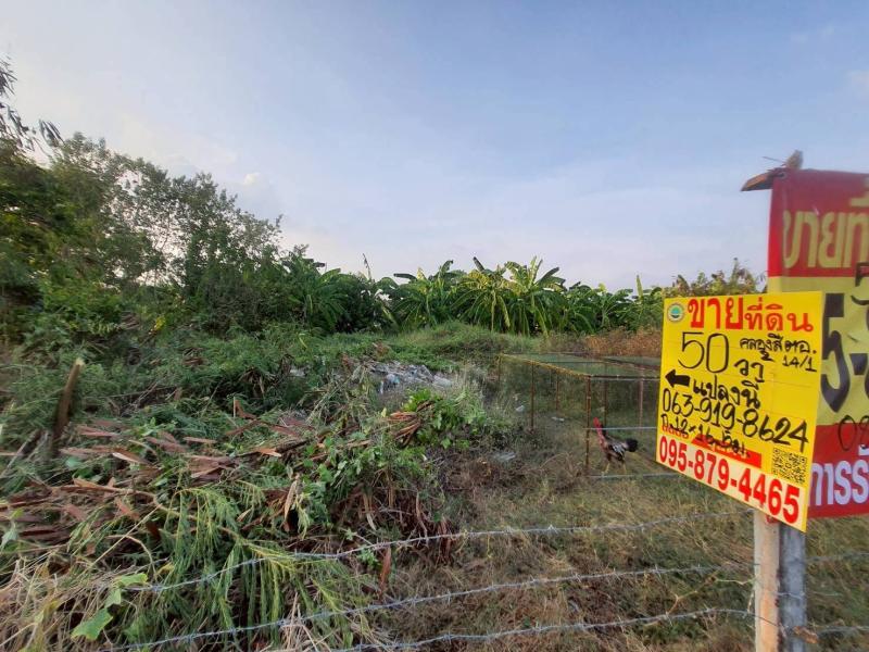 รูปที่5 ต้องการขายที่ดินเปล่า คลองสี่ คลองหลวง ราคา 800,000 บาท