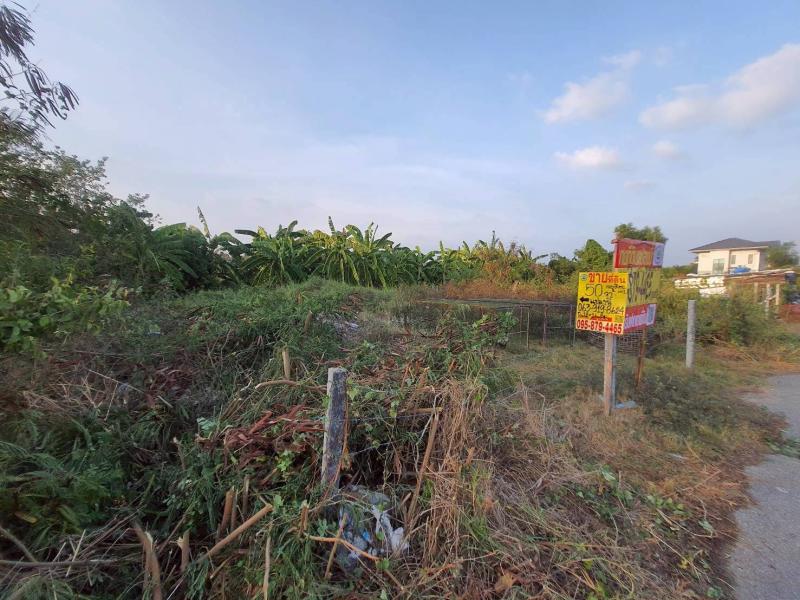 รูปที่6 ต้องการขายที่ดินเปล่า คลองสี่ คลองหลวง ราคา 800,000 บาท
