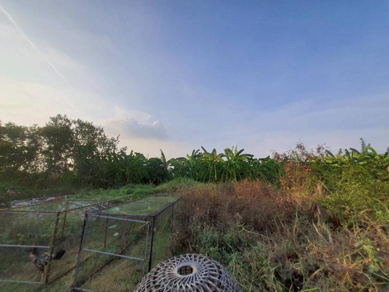 รูปที่8 ต้องการขายที่ดินเปล่า คลองสี่ คลองหลวง ราคา 800,000 บาท