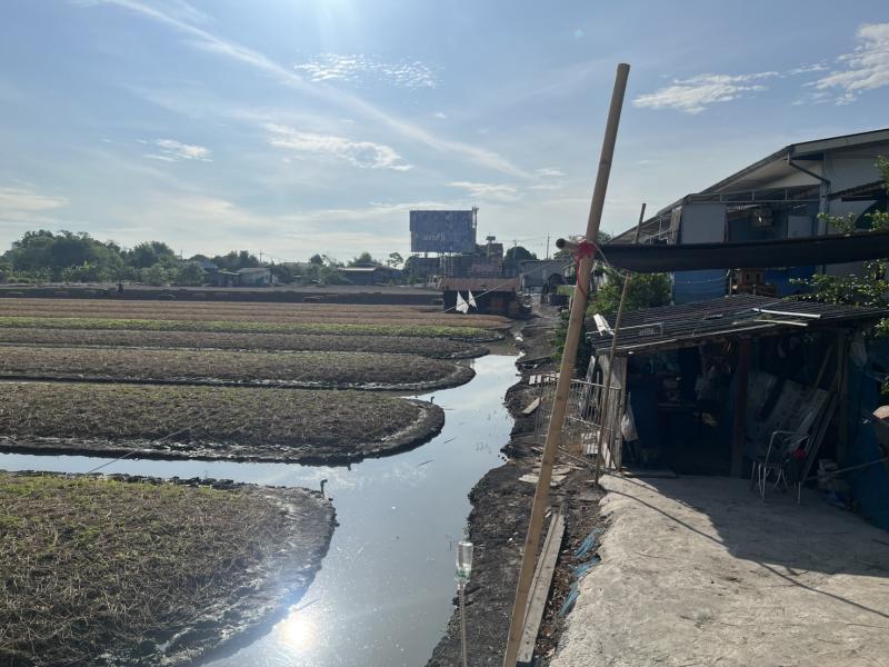 รูปที่3 ต้องการขายที่ดินเปล่า พิมลราช บางบัวทอง ราคา 200,000,000 บาท