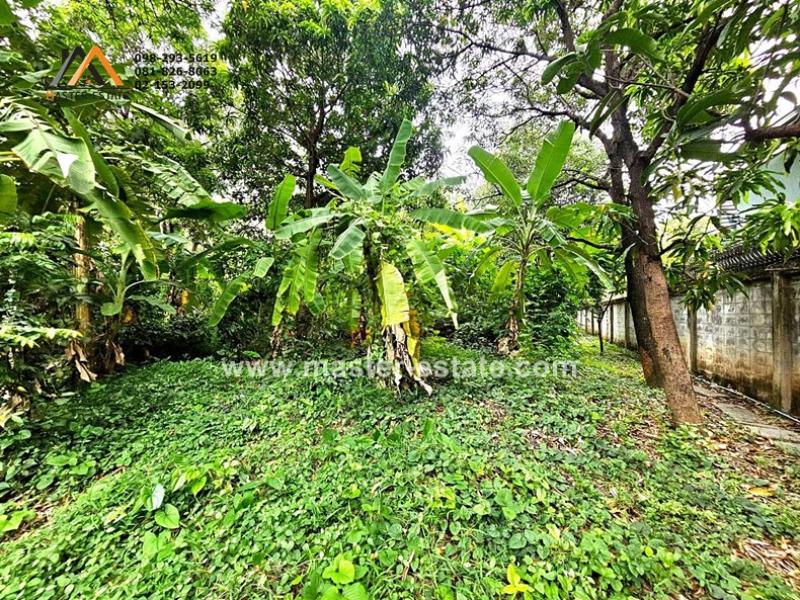 รูปที่5 ต้องการขายบ้านพร้อมที่ดิน บางกระสอ เมืองนนทบุรี ราคา 136,000,000 บาท