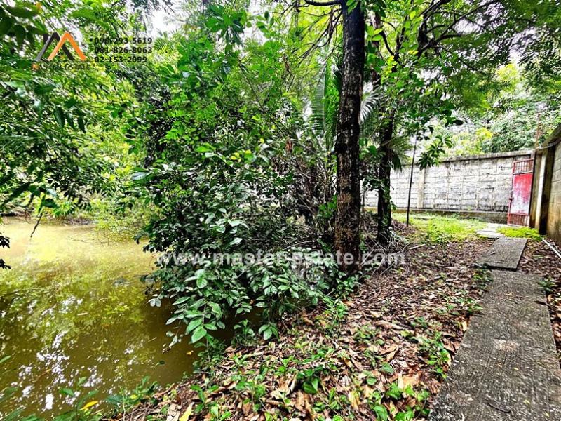 รูปที่7 ต้องการขายบ้านพร้อมที่ดิน บางกระสอ เมืองนนทบุรี ราคา 136,000,000 บาท