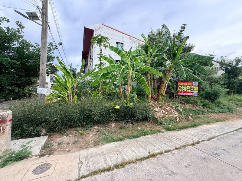 รูปที่2 ต้องการขายที่ดินเปล่า ประเวศ เขตประเวศ ราคา 2,000,000 บาท