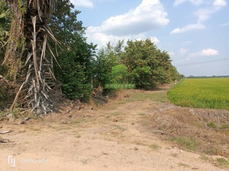 รูปภาพสินทรัพย์