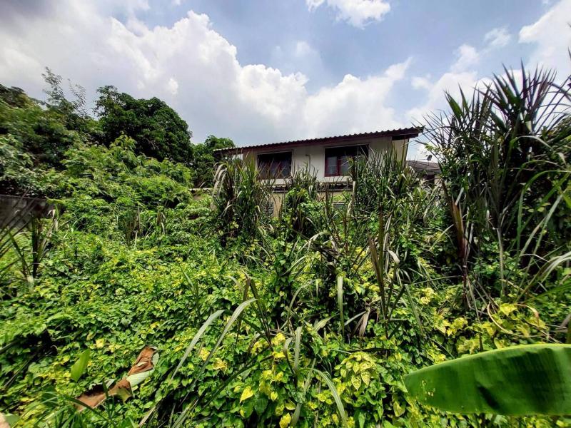 รูปที่6 ต้องการขายที่ดินเปล่า สวนใหญ่ เมืองนนทบุรี ราคา 700,000 บาท
