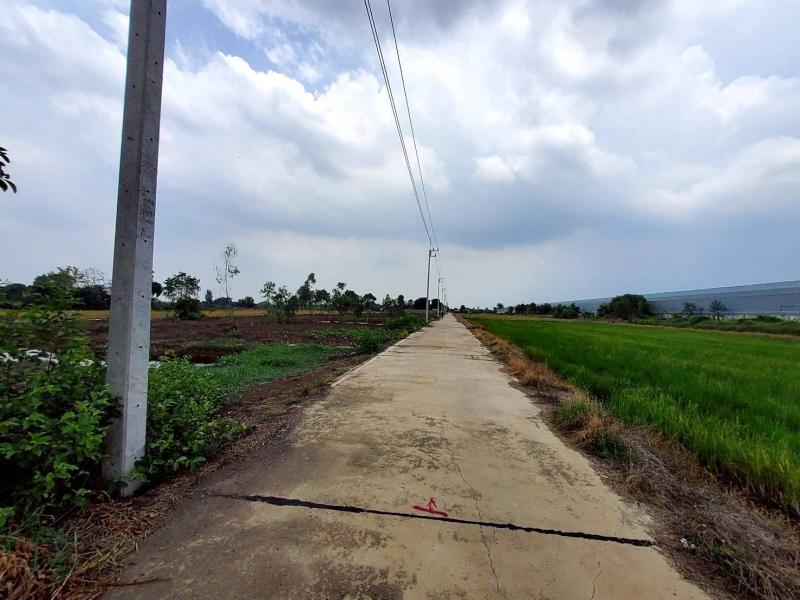รูปที่5 ต้องการขายที่ดินเปล่า คลองสาม คลองหลวง ราคา 18,000,000 บาท