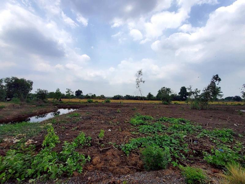 รูปที่6 ต้องการขายที่ดินเปล่า คลองสาม คลองหลวง ราคา 18,000,000 บาท