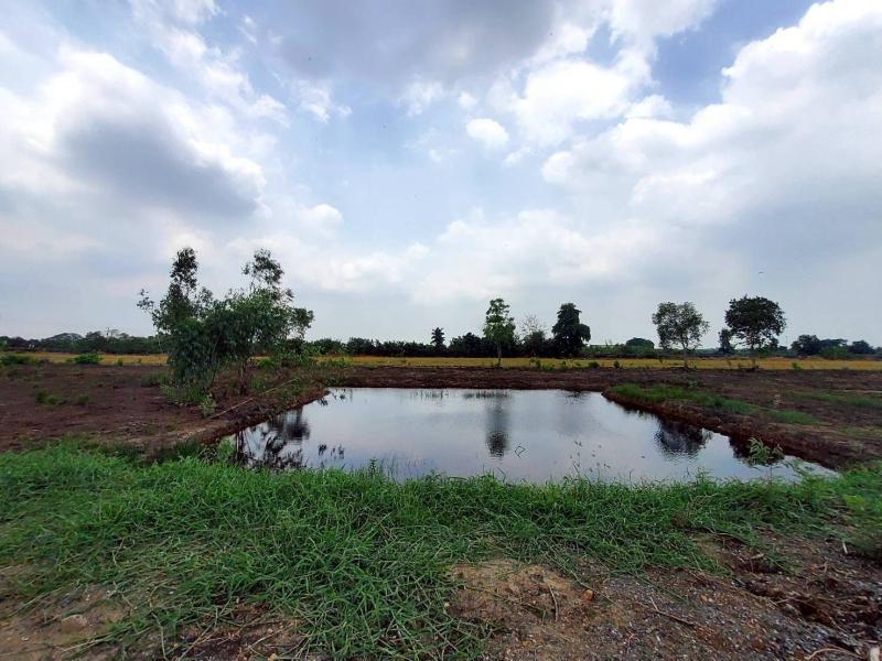 รูปที่8 ต้องการขายที่ดินเปล่า คลองสาม คลองหลวง ราคา 18,000,000 บาท