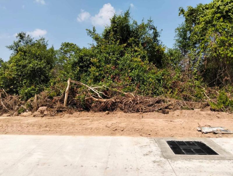 รูปที่2 ต้องการขายที่ดินเปล่า หนองปลาไหล บางละมุง ราคา 800,000 บาท