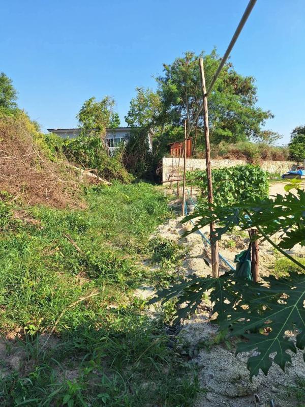 รูปที่3 ต้องการขายที่ดินเปล่า หนองปลาไหล บางละมุง ราคา 800,000 บาท