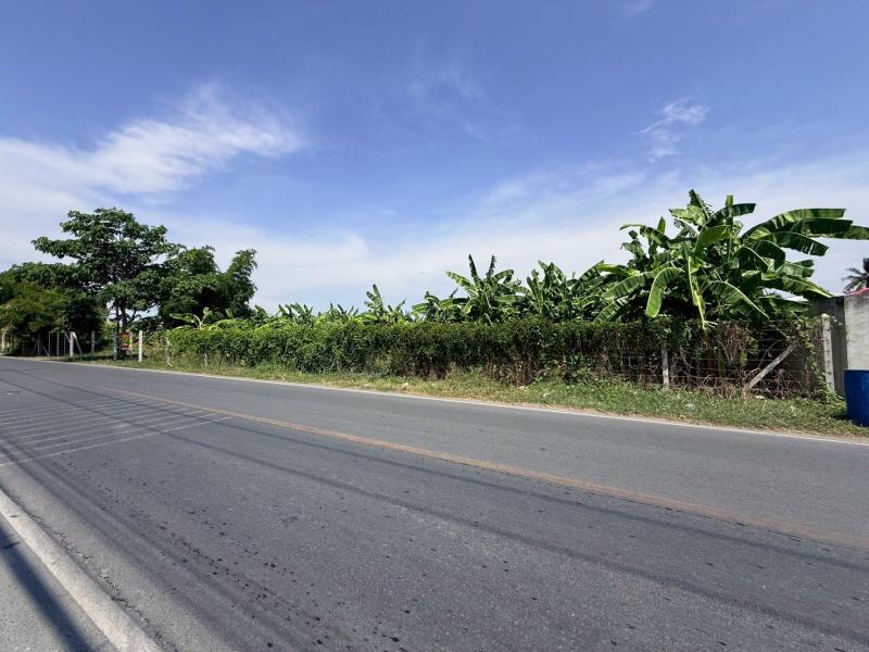 รูปที่2 ต้องการขายที่ดินเปล่า อ้อมใหญ่ สามพราน ราคา 6,000,000 บาท