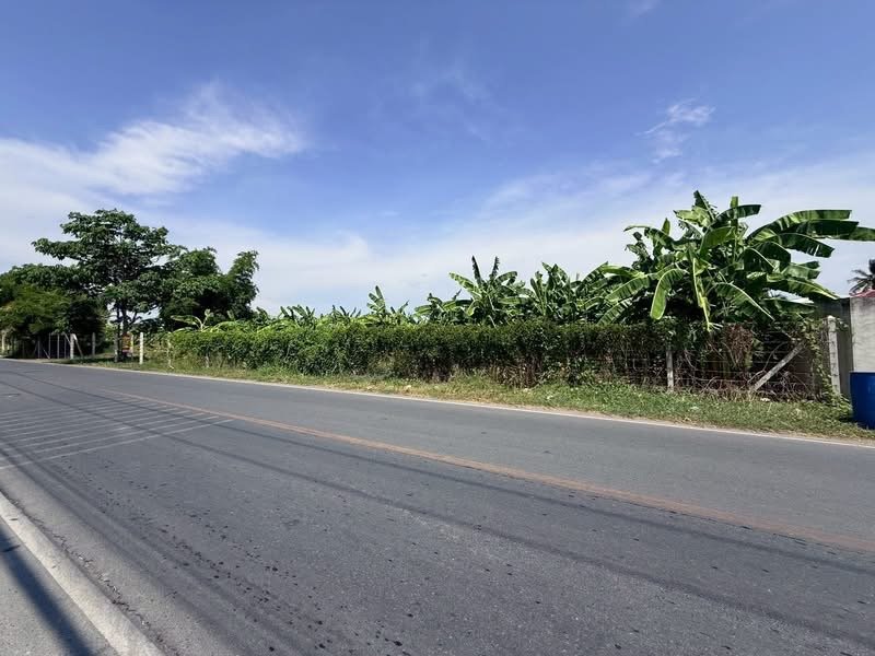 รูปที่3 ต้องการขายที่ดินเปล่า อ้อมใหญ่ สามพราน ราคา 6,000,000 บาท