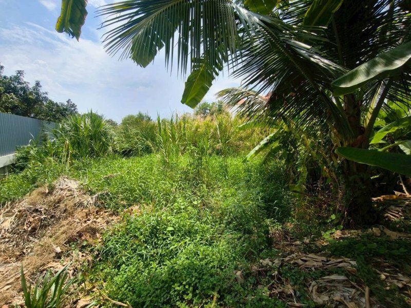 รูปที่3 ต้องการขายที่ดินเปล่า บ้านใหม่ บางใหญ่ ราคา 10,000,000 บาท
