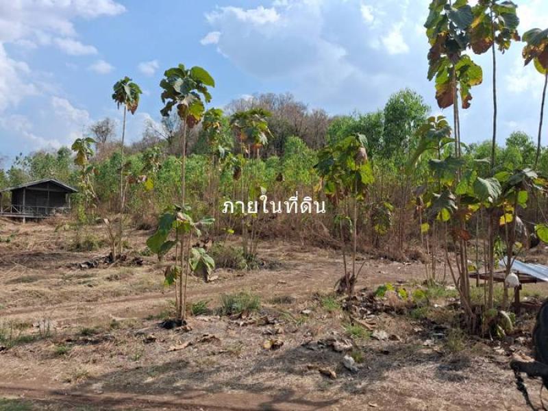 รูปที่6 ต้องการขายที่ดินเปล่า กันจุ บึงสามพัน ราคา 1,000,000 บาท