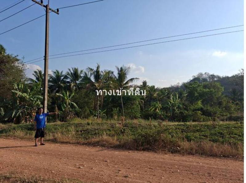 รูปที่7 ต้องการขายที่ดินเปล่า กันจุ บึงสามพัน ราคา 1,000,000 บาท