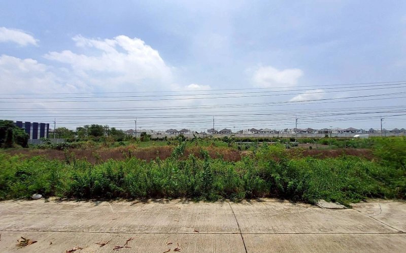 รูปที่5 ต้องการขายที่ดินเปล่า บึงยี่โถ ธัญบุรี ราคา 3,000,000 บาท