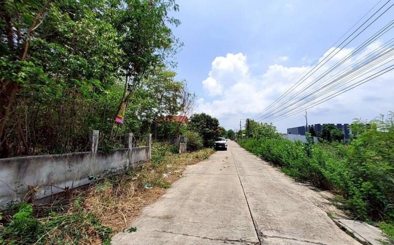 ขายด่วนที่ดินวิวคลอง 95 ตรว ติดถนนสาธารณะ คลองสี่ ซ.สุสวาส ธัญบุรี ปทุมธานี