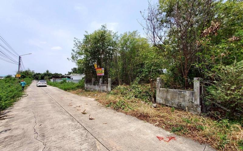 รูปที่2 ต้องการขายที่ดินเปล่า บึงยี่โถ ธัญบุรี ราคา 3,000,000 บาท