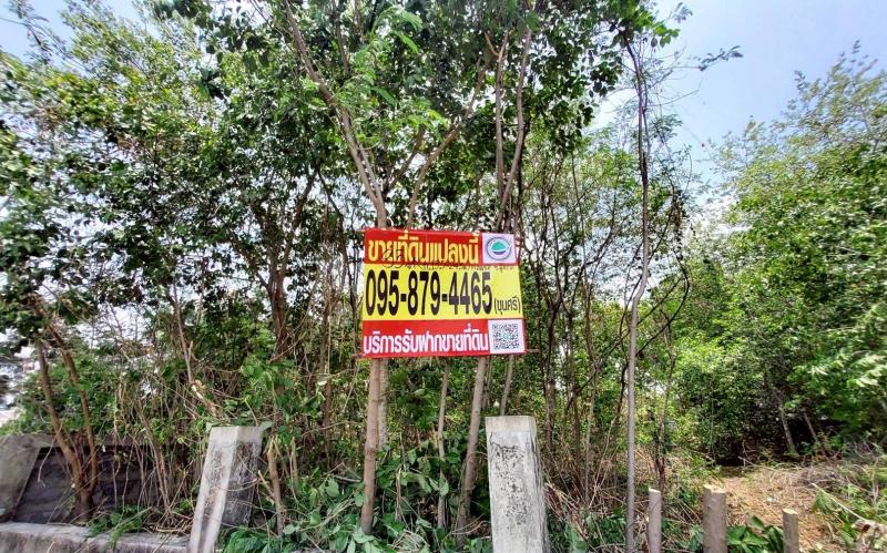 รูปที่7 ต้องการขายที่ดินเปล่า บึงยี่โถ ธัญบุรี ราคา 3,000,000 บาท