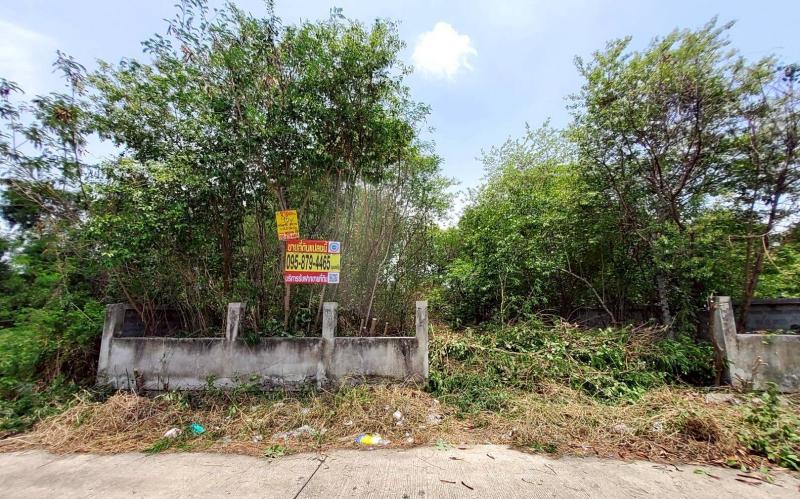 รูปที่8 ต้องการขายที่ดินเปล่า บึงยี่โถ ธัญบุรี ราคา 3,000,000 บาท
